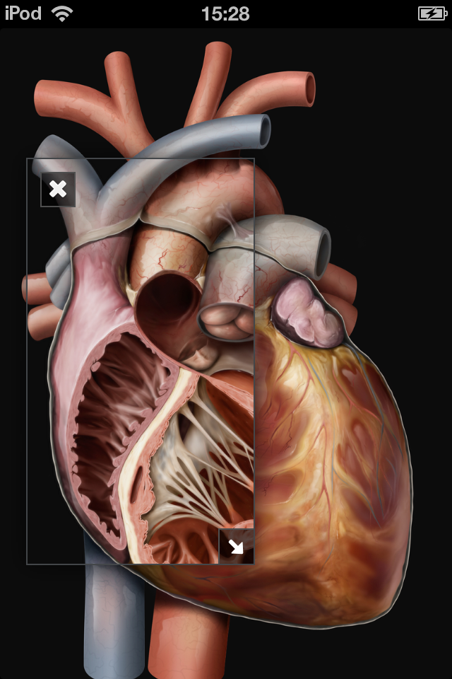 iPhone Screenshot 1